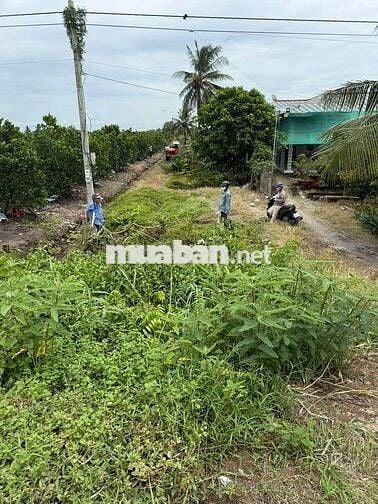 200THỔ CƯ +800VƯỜN ,MẶT TIỀN ĐƯỜNG TỈNH 818 , THỦ THỪA LONG AN