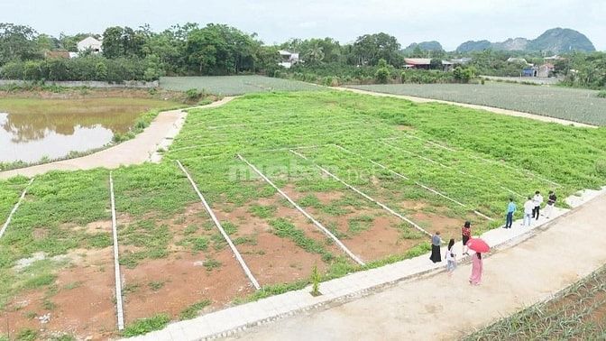  ĐẤT NỀN TRUNG TÂM NGỌC LẶC – THANH HÓA CHỈ 200TR SỔ RIÊNG 