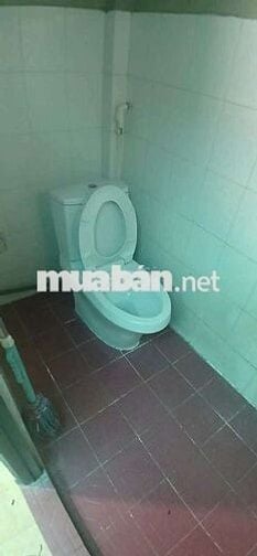 Cho thuê nhà nguyên căn.Đường Cách Mạng Tháng Tám.Phường 11.Quận 3