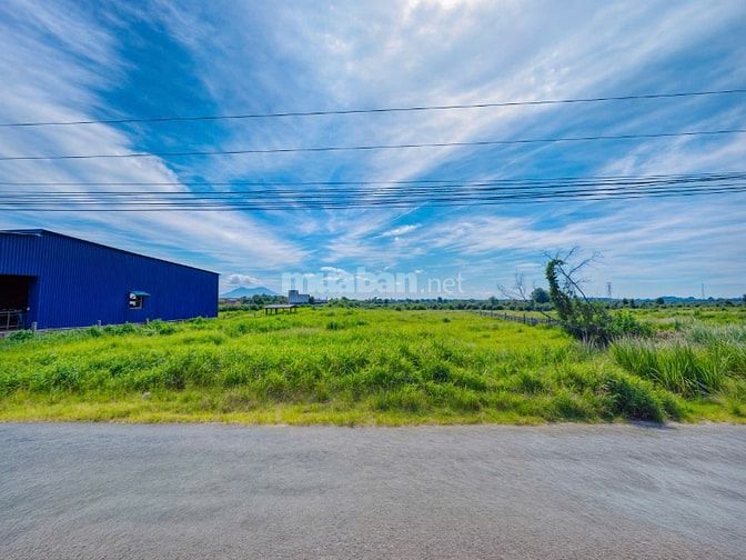 Đất Hiếm Lagi Mặt Tiền Đinh Công Tráng Full Thổ Cư Giá Siêu Rẻ Đầu Tư