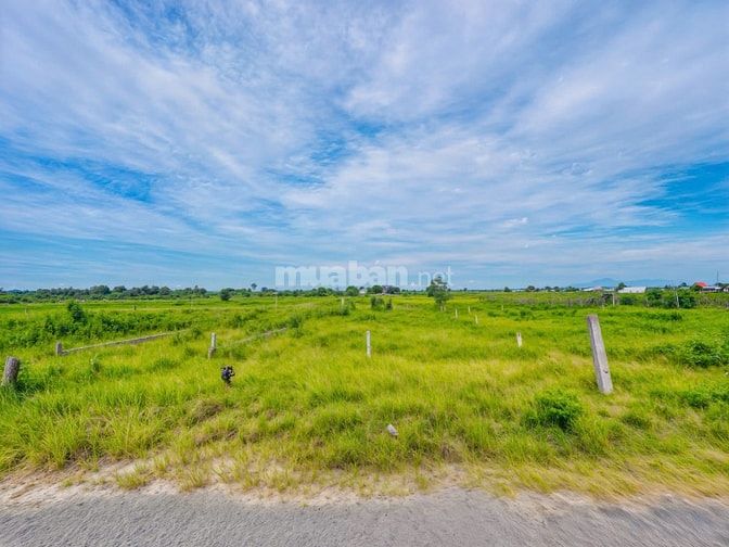 Đất Hiếm Lagi Mặt Tiền Đinh Công Tráng Full Thổ Cư Giá Siêu Rẻ Đầu Tư