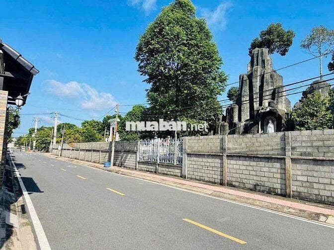 🏡 BÁN LÔ ĐẤT SIÊU ĐẸP – TRUNG TÂM CỦ CHI (XÃ TÂN AN HỘI MỚI) 🏡