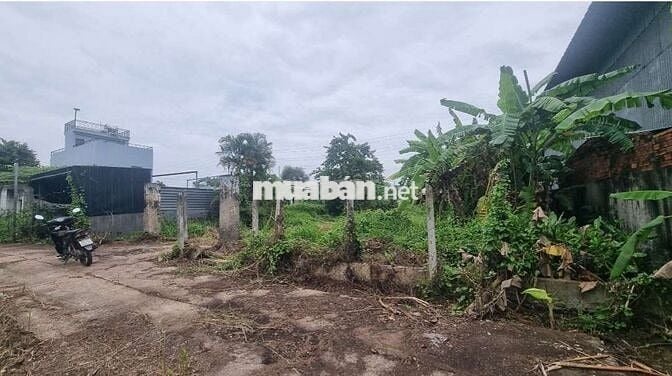 Bán đất Xuân Thới Sơn, Hóc Môn diện tích 622 m²