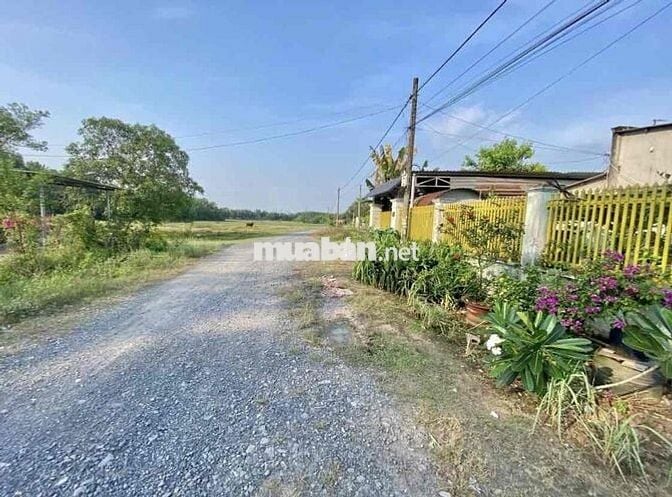 🌟 BÁN ĐẤT ĐẸP – XÃ NHUẬN ĐỨC (TLH) – CỦ CHI 🌟