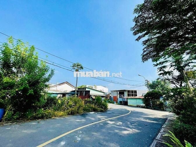 Bán đất đường nhánh Đỗ Văn Dậy, Tân Hiệp  5x20m giá 1 tỷ 300 _ SHR