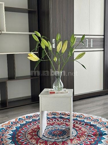 500k ngày, đậm chất riêng tư, 55m2 1PN 1WC, tư do phát triển mục tiêu.