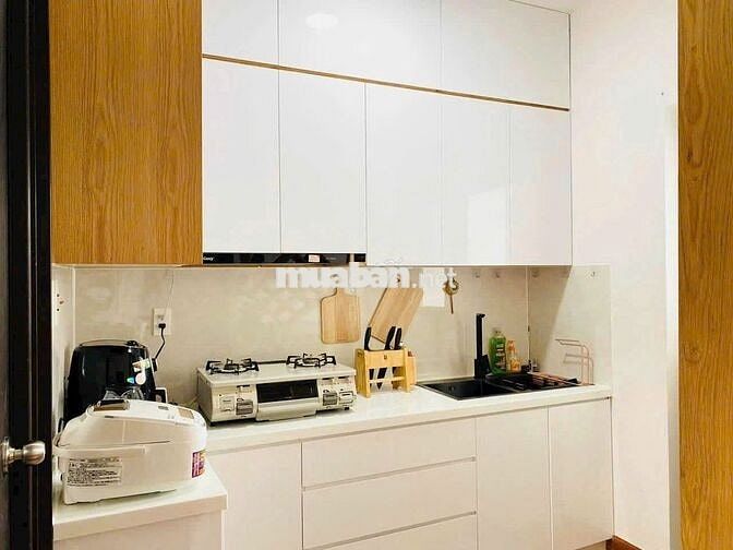 Bán căn hộ 1pn 1wc DT 50m2 khu Topaz celadon city Tân Phú