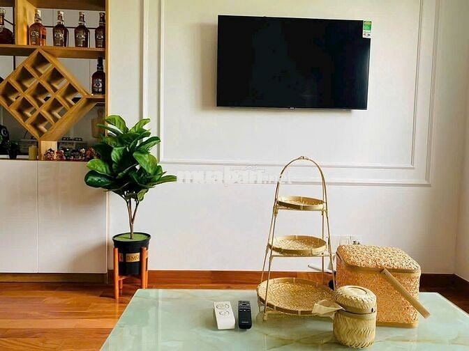 Bán căn hộ 1pn 1wc DT 50m2 khu Topaz celadon city Tân Phú