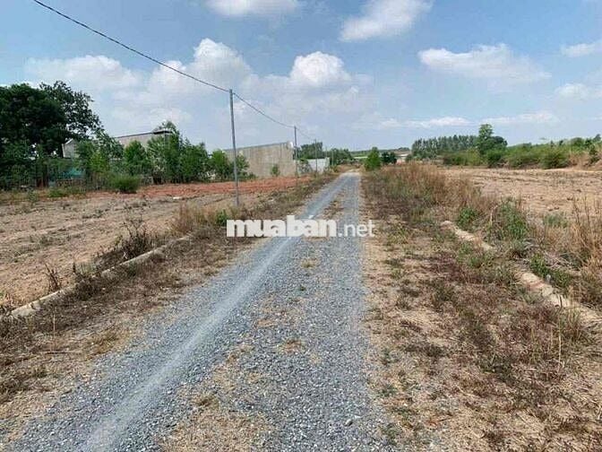 Đất Tam Phước Chính Chủ Cần Bán Hỗ Trợ Vay Ngân Hàng