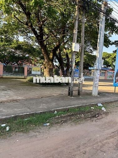 Bán Đất Thổ cư sổ riêng Núi Chứa Chan Xuân Lộc Đồng Nai