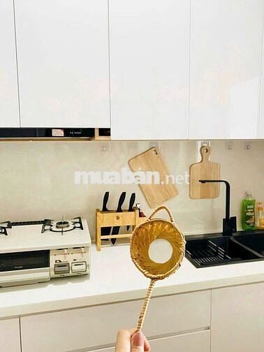 Bán căn hộ 1pn 1wc DT 50m2 khu Topaz celadon city Tân Phú