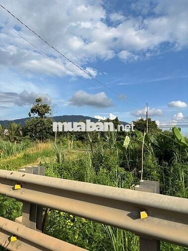 Bán Đất Thổ cư sổ riêng Núi Chứa Chan Xuân Lộc Đồng Nai