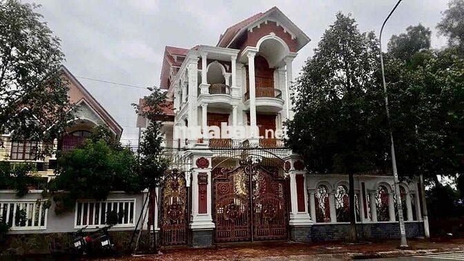 Cho thuê biệt thự đường Nguyễn Đức Thuận, Hiệp Thành, Thủ Dầu Một - Di