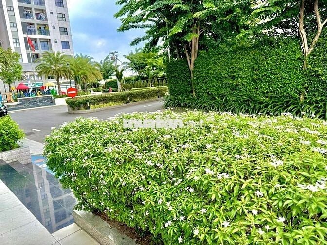 Cho thuê căn hộ 49m2 1PN 1WC Chung cư Happy One Phú Hoà