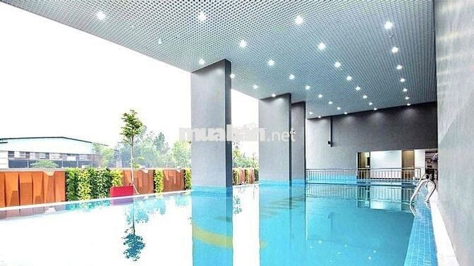 Cho thuê căn hộ 49m2 1PN 1WC Chung cư Happy One Phú Hoà
