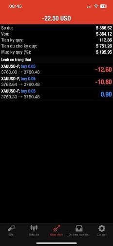 Hỗ trợ đầu tư copytrade vàng, robot