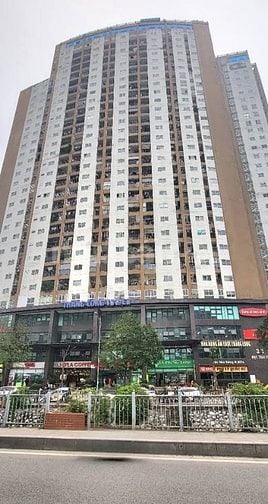 BQL cho thuê 481m2 tầng 3 tòa 33 mạc thái Tổ làm văn phòng, trung tâm 