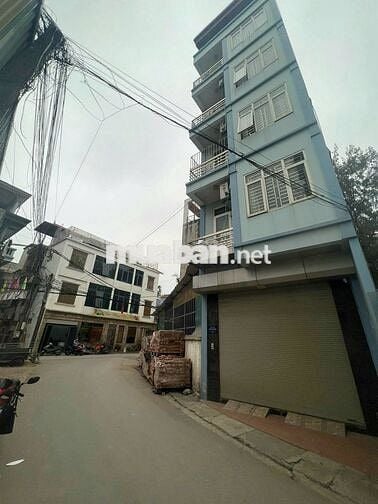 Chính chủ Bán nhà riêng kinh doanh dòng tiền tại đường Ngọc Hồi
