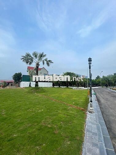 CC ĐẤT SỔ ĐỎ 320.8M2 LÉMAN VILLAGE SÓC SƠN, CẠNH HỒ ĐỒNG QUAN
