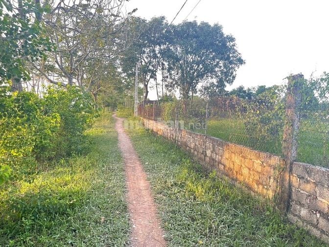 Bán 2000m đất Thổ cư tại Tiến Nông Triệu sơn 