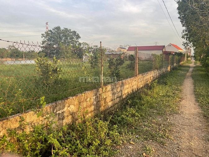 Bán 2000m đất Thổ cư tại Tiến Nông Triệu sơn 