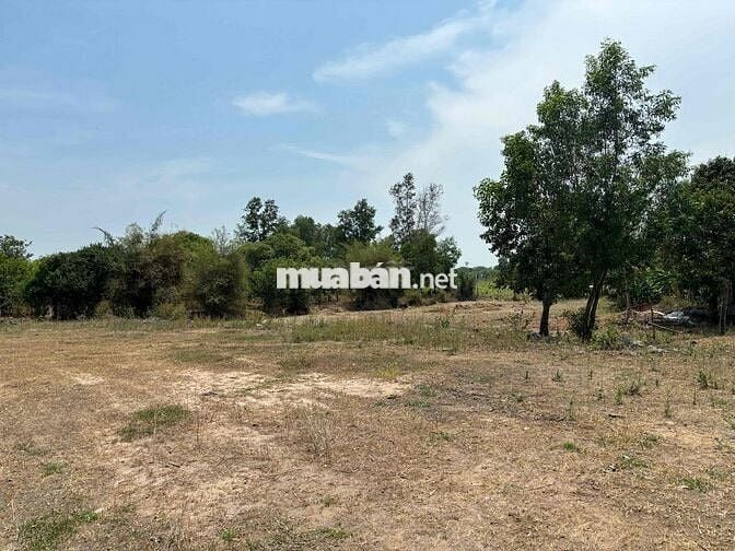 Bán 3400m Hồ Tràm gần trung tâm thị trấn cách biển Hồ Tràm 5km