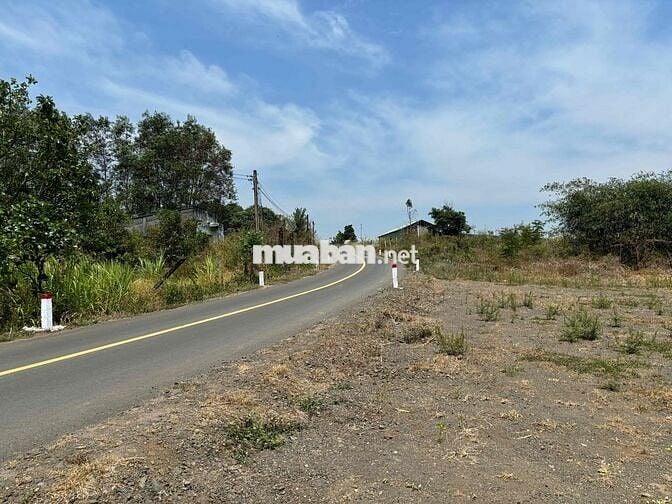 Bán 3400m Hồ Tràm gần trung tâm thị trấn cách biển Hồ Tràm 5km
