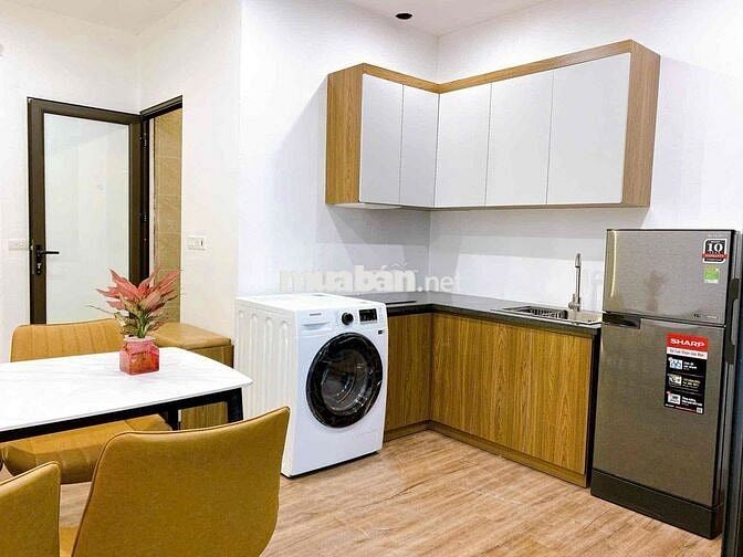 CHO THUÊ CĂN HỘ 1N1K 40m2 – MẶT PHỐ PHAN KẾ BÍNH, BA ĐÌNH