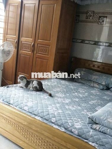 Cần bán nhà đất, có 4 phòng trọ, 1 quán cafe ngay cạnh