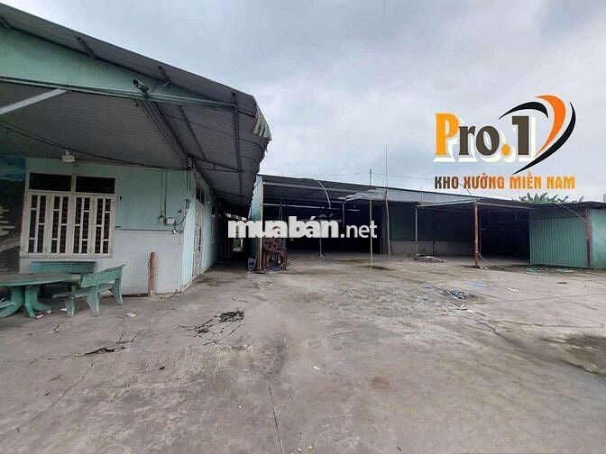 Cho thuê xưởng đường xe cont, gần Võ Nguyên Giáp, Phước Tân, Biên Hòa