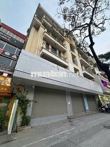 Chính chủ cho thuê nhà mặt phố Đào Tấn, giá thỏa thuận, 150 m2