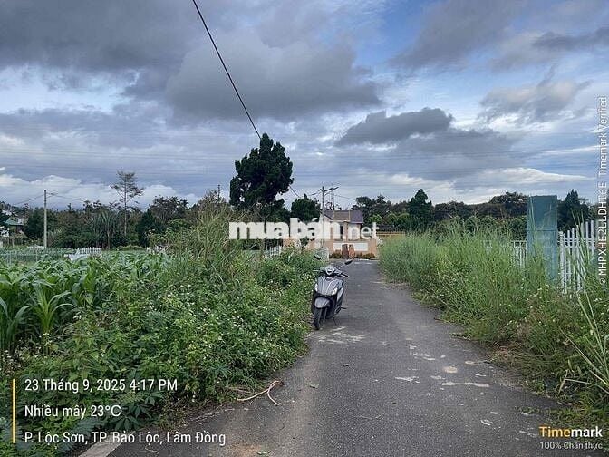 View núi Đại Bình Lộc sơn - Bảo Lộc - 336m2 sẵn thổ cư chỉ 2tỉ150tr