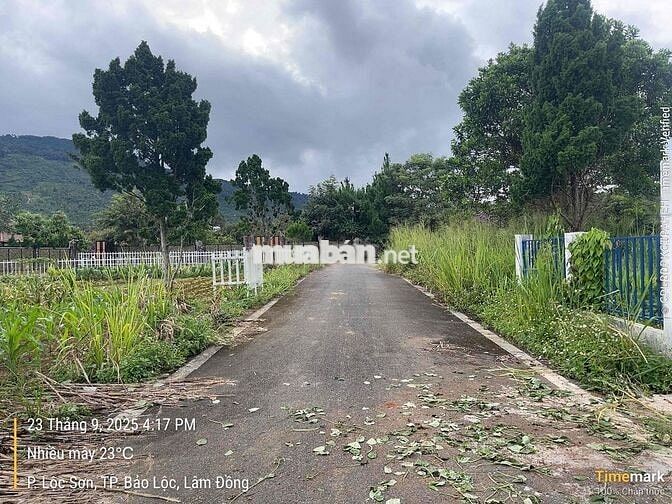 View núi Đại Bình Lộc sơn - Bảo Lộc - 336m2 sẵn thổ cư chỉ 2tỉ150tr