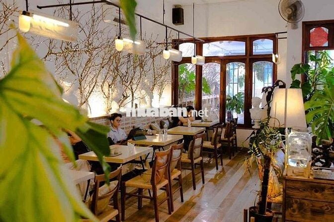 Biệt thự Sân vườn Nguyễn Thị Minh Khai Q3 Ngang 12M Trệt Lầu Giá 70tr