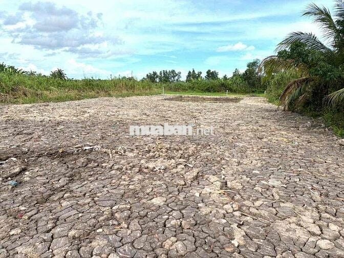 NCC - BÁN 1.370m đất CLN tại Phường Thanh Đức, Tỉnh Vĩnh Long   • Đất