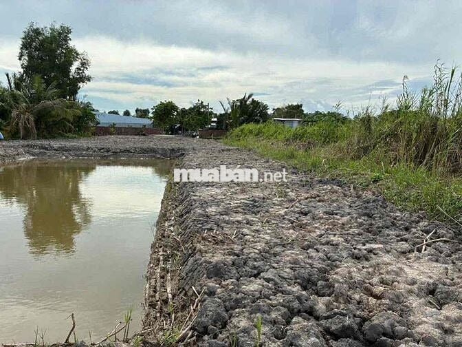 NCC - BÁN 1.370m đất CLN tại Phường Thanh Đức, Tỉnh Vĩnh Long   • Đất