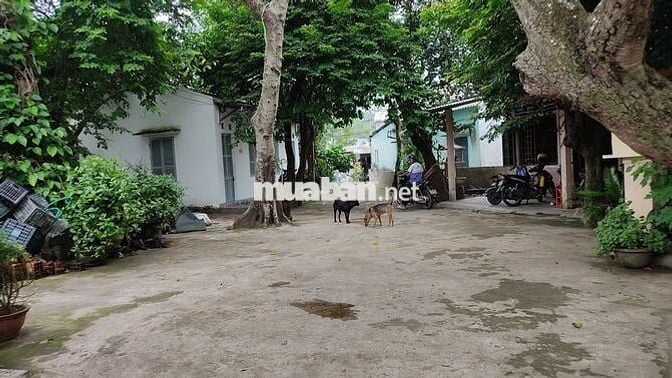 Phòng trọ giá rẻ tiện nghi đại học Luật