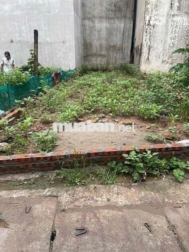 Đất tổ 15 phường yên nghĩa dg thông oto full thổ cư