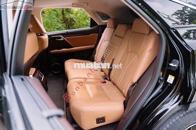 Lexus RX 300 2019 - 2 Tỷ 390 Triệu