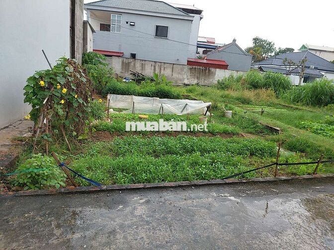 Bán Đất Tiềm Năng Giáp Khu Công Nghiệp Sạch Minh Trí Sóc Sơn Hà Nội
