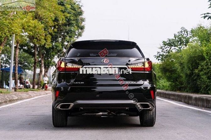 Lexus RX 300 2019 - 2 Tỷ 390 Triệu
