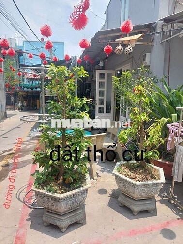 169m full thổ cư cách mặt tiền 20m