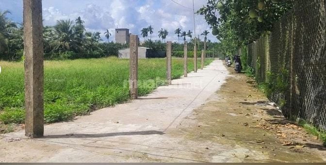 Đất nền có thổ cư khu phố Mỹ Hòa, Phường Mỹ Phong, Đồng Tháp