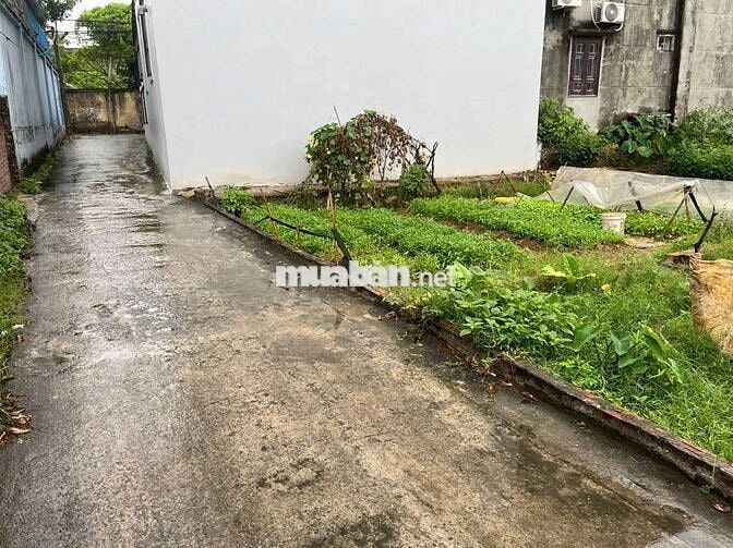 Bán Đất Tiềm Năng Giáp Khu Công Nghiệp Sạch Minh Trí Sóc Sơn Hà Nội