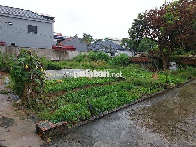 Bán Đất Tiềm Năng Giáp Khu Công Nghiệp Sạch Minh Trí Sóc Sơn Hà Nội