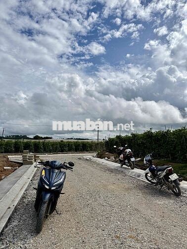 ✅ ĐẤT ĐẸP THỊ TRẤN THẠNH MỸ – ĐƠN DƯƠNG - LÂM ĐỒNG