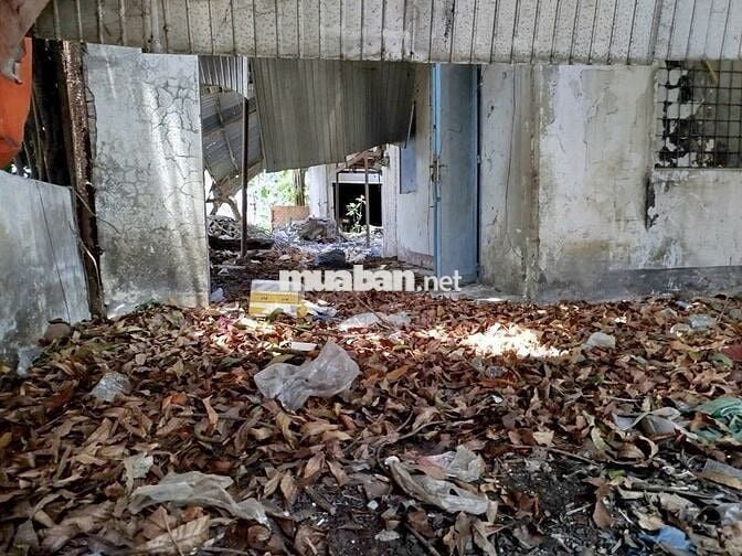 Cho thuê đất làm xưởng, bãi giữ xe ... Phan Văn Hớn Hốc Môn