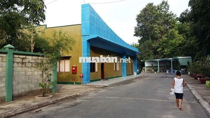 Cần bán xưởng tại Phú An Bến Cát Bình Dương