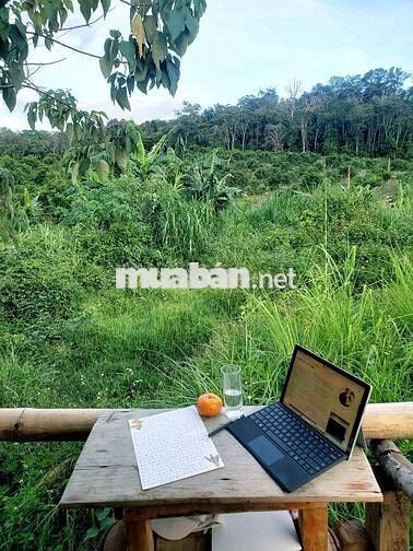 Đất Bán ấp Giồng Lãnh.Gò Công Đông Tiền Giang