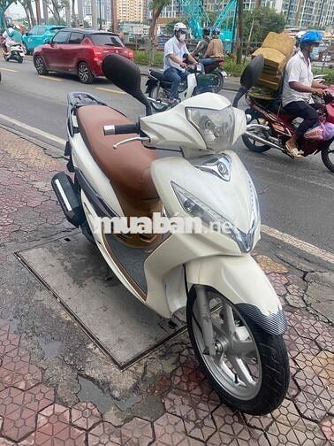 Xe Shark trắng mới tinh